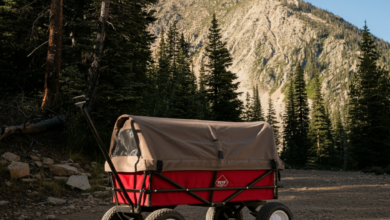 red yerf dog mountain wagon price